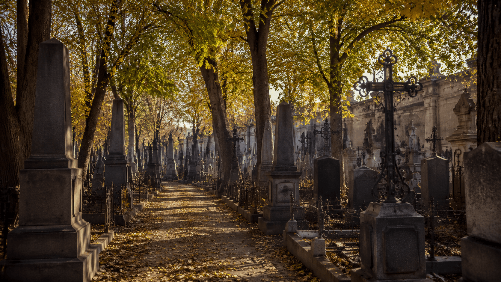 Botkinskoje-Friedhof in Taschkent: Geschichte, Sektoren, Weg