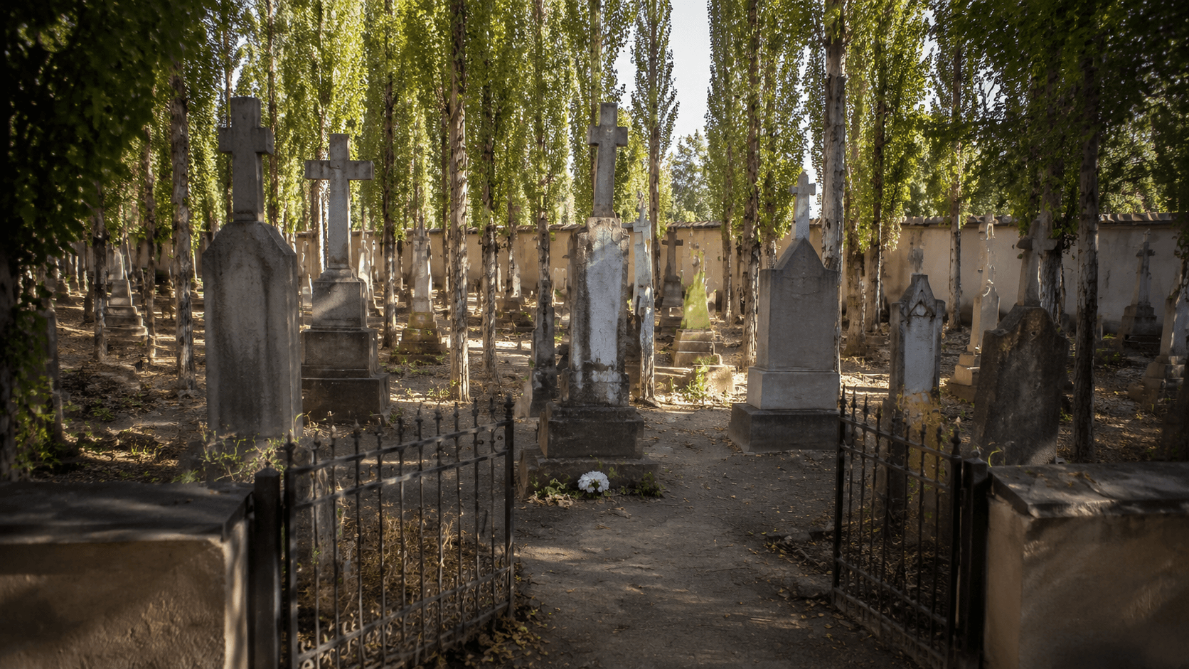 Der polnische Friedhof in Samarkand: Geschichte und überlebende Familien