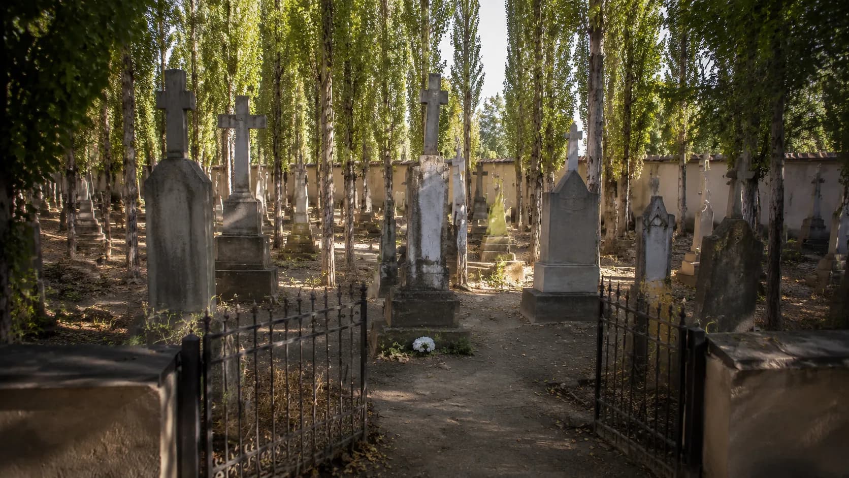 Польское кладбище в Самарканде: история и сохранившиеся семьи