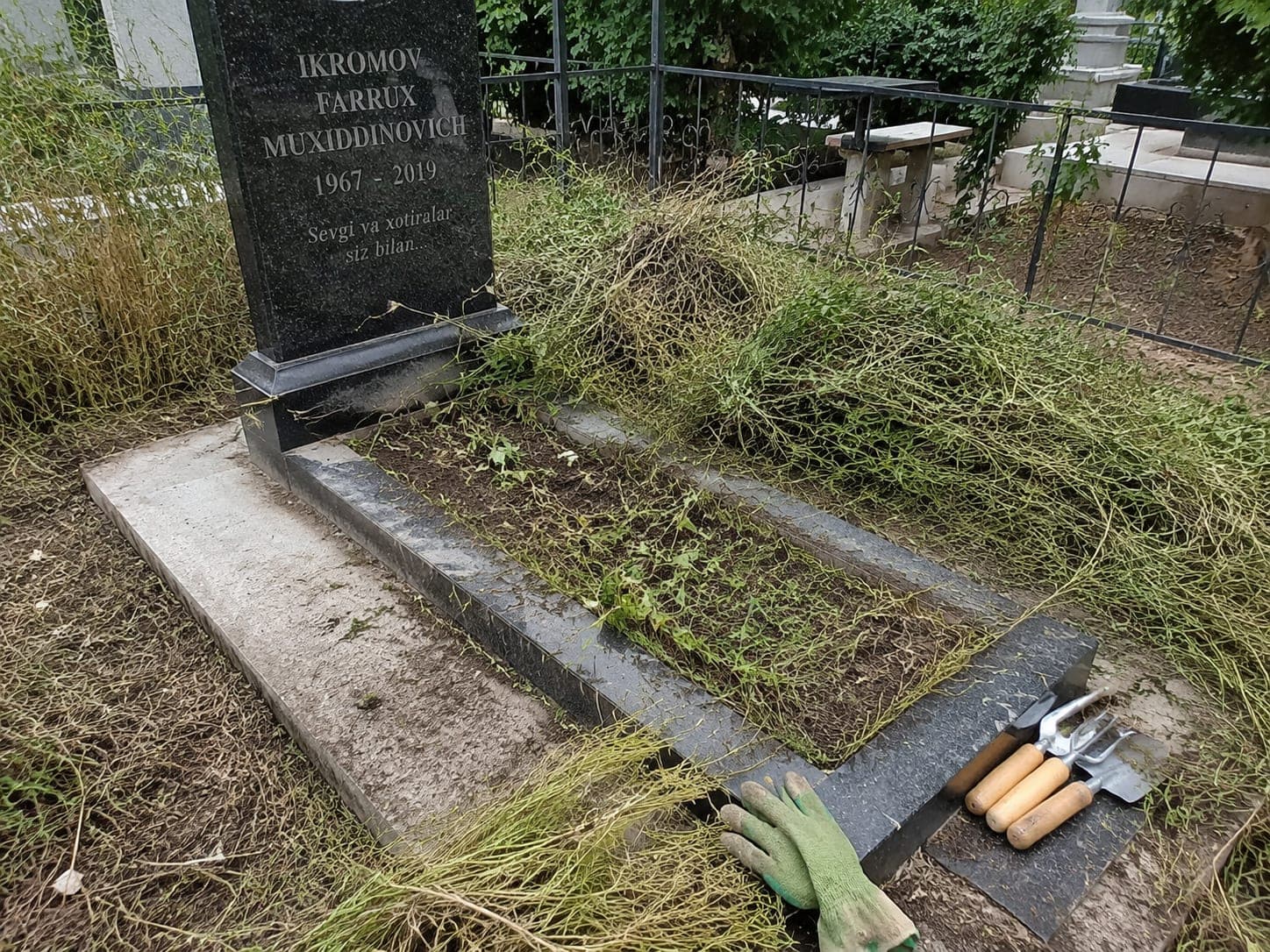 Strauchschnitt bis 0,5 m (einmalig) — ab